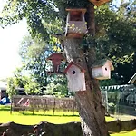 Kaprice * Burg Reuland