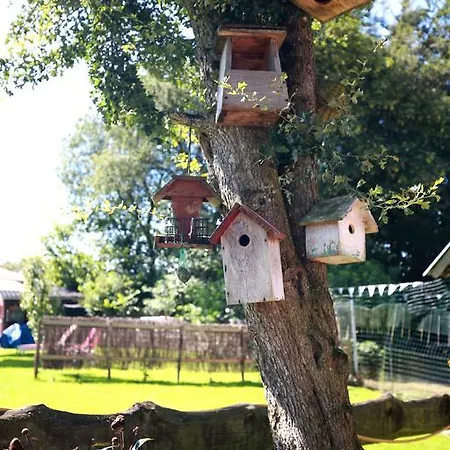 Weisten 5 * 伯格罗伊兰